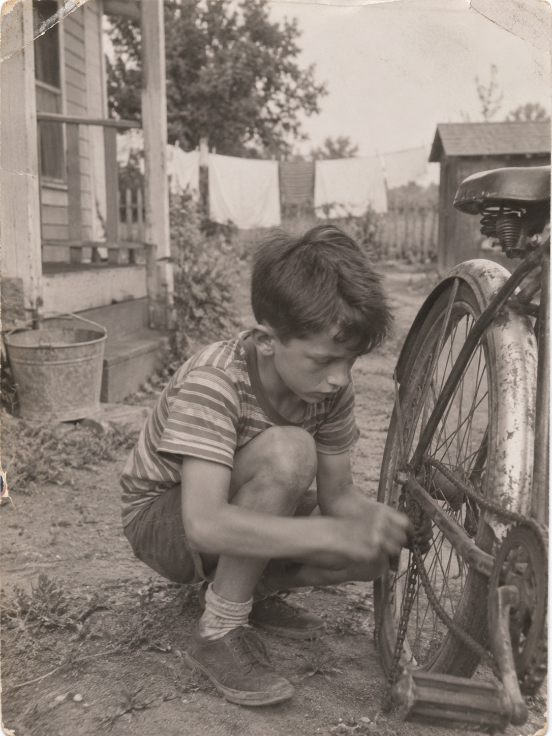 Photograph